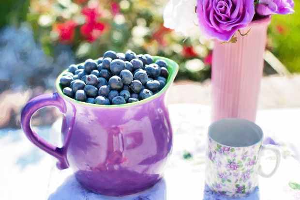 blueberries-summer-fruit-fresh.jpg